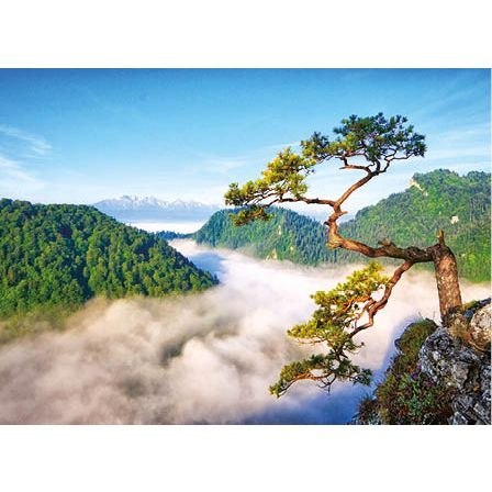 Kalendarz ścienny Limba na Sokolnicy trójdzielne 320mm x 855mm Jotan (t54)