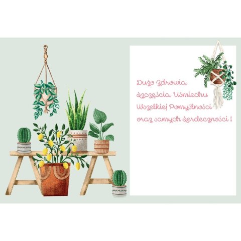 Kartka składana KARNET B6 KWIATY DONICZKOWE B6 Henry (5905701484157) Kartka składana KARNET B6 KWIATY DONICZKOWE B6 Henry (5905701484157)