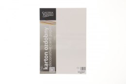 Papier ozdobny (wizytówkowy) płótno białe A4 biały 240g Galeria Papieru (202121)