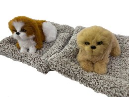 Pluszak piesek na poduszce z dźwiękiem Adar (621015)