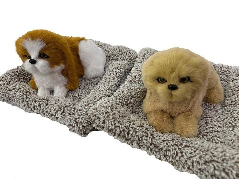 Pluszak piesek na poduszce z dźwiękiem Adar (621015)