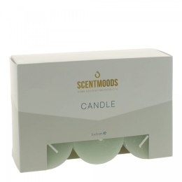 Świeca pieńkowa 5x5cm 6szt., w kolorze Green Pavoncella (8720935400905)