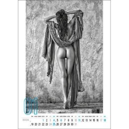 Kalendarz ścienny DERRIERE 12 KARTKOWY 33,8mm x 5000mm Jotan (WP141)