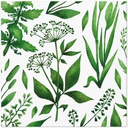 Serwetki TaT Green cocktail mix bibuła [mm:] 330x330 Paw (TL124200)