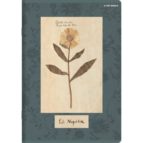 Zeszyt FLOWERS A5 60k. 70g linia Top 2000 (400169420)