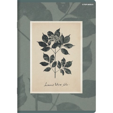 Zeszyt FLOWERS A5 60k. 70g linia Top 2000 (400169420)