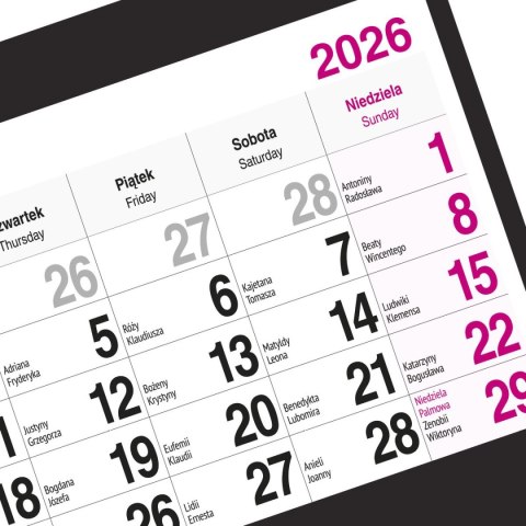 Kalendarz ścienny BUKIET 310mm x 790mm Press