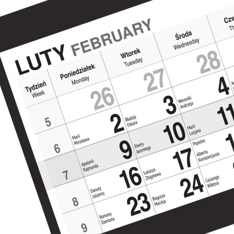 Kalendarz ścienny BUKIET 310mm x 790mm Press