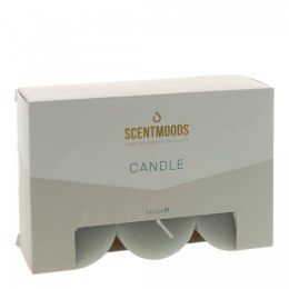 Świeca pieńkowa 5x5cm 6szt., w kolorze Grey Pavoncella (8720935400899)