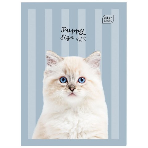 Zeszyt A5 32k. 70g trzy linie Interdruk