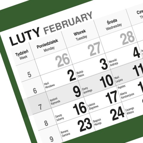 Kalendarz ścienny GÓRY 310mm x 790mm Press