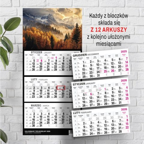 Kalendarz ścienny GÓRY A5 250mm x 450mm Press