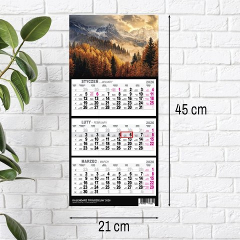 Kalendarz ścienny GÓRY A5 250mm x 450mm Press