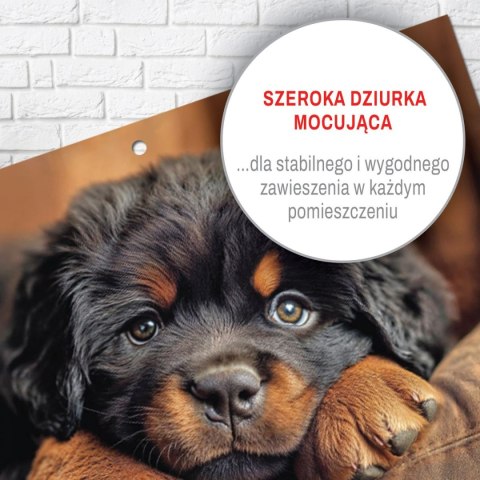 Kalendarz ścienny JEDNODZIELNY PIES A4 210mm x 295mm Press