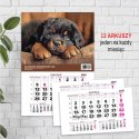 Kalendarz ścienny JEDNODZIELNY PIES A4 210mm x 295mm Press