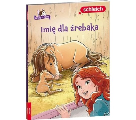 Książeczka edukacyjna HORSE CLUB. Imię dla źrebaka Ameet (LNR 8401) Książeczka edukacyjna HORSE CLUB. Imię dla źrebaka Ameet (LNR 8401)
