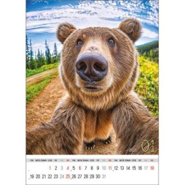 Kalendarz ścienny SELFIE 13-KARTKOWY A3+ Jotan (WP135)