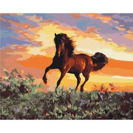 Zestaw kreatywny Malowanie Po Numerach 40x50 cm Koń Brushme (BR-BS6943)