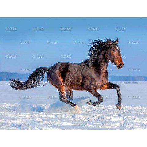 Kalendarz ścienny 13-planszowe 320mm x 470mm Lucrum (RW14)