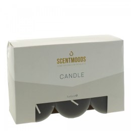 Świeca pieńkowa 5x5cm 6szt., w kolorze Black Pavoncella (8720935400912)