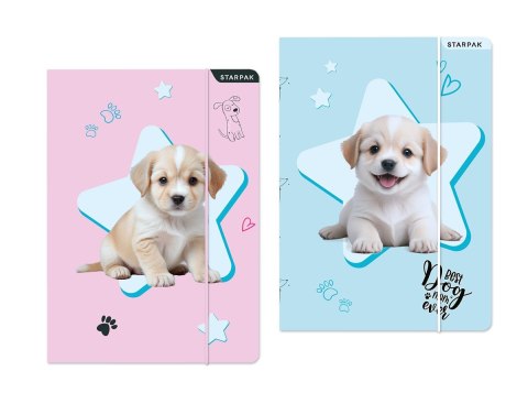 Teczka kartonowa na gumkę Doggy A4 mix Starpak (559706)