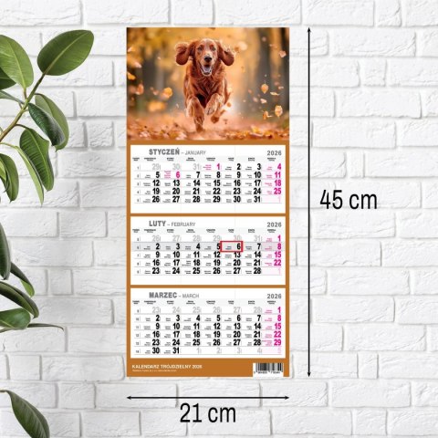 Kalendarz ścienny PIES A5 210mm x 450mm Press