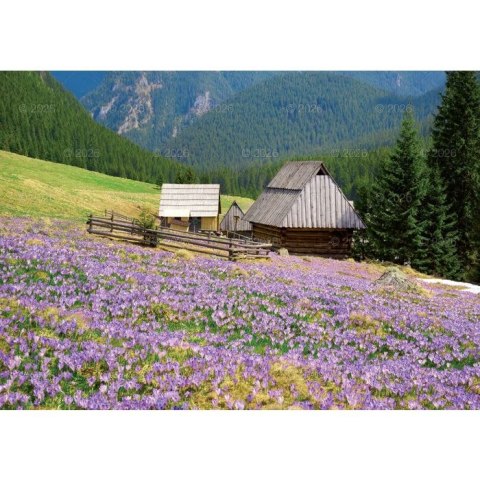 Kalendarz ścienny Tatry i Podhale rodzinny 2023 280mm x 200mm Lucrum (WL04)