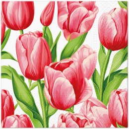 Serwetki Lunch Tulip Time mix nadruk bibuła [mm:] 330x330 Paw (SDL147700)