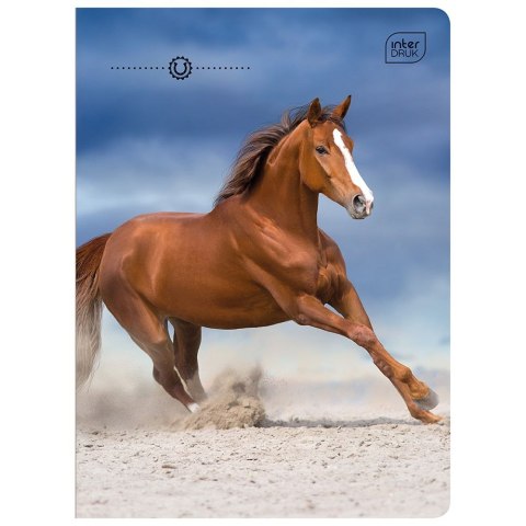 Zeszyt WILD HORSES A5 16k. 70g linia kolor Interdruk