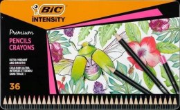Kredki ołówkowe Intensity Premium 36 kol. Bic Kids (829029)
