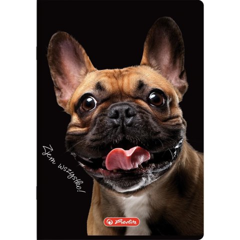 Zeszyt Crazy Animal A5 60k. 70g krata Herlitz (400196837) Zeszyt Crazy Animal A5 60k. 70g krata Herlitz (400196837)