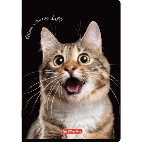 Zeszyt Crazy Animal A5 60k. 70g krata Herlitz (400196837) Zeszyt Crazy Animal A5 60k. 70g krata Herlitz (400196837)