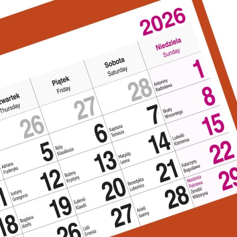 Kalendarz ścienny KOT 310mm x 790mm Press