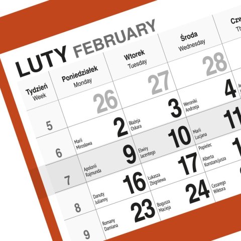 Kalendarz ścienny KOT 310mm x 790mm Press