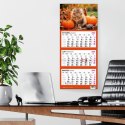 Kalendarz ścienny KOT 310mm x 790mm Press
