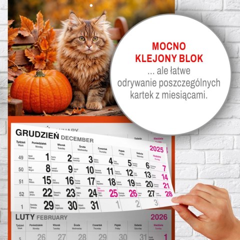 Kalendarz ścienny KOT 310mm x 790mm Press