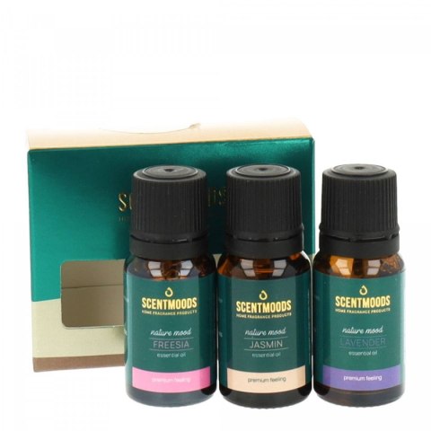 Świeczka ozdobna Zestaw olejków zapachowych Nature Mood Pavoncella (8716516202549)