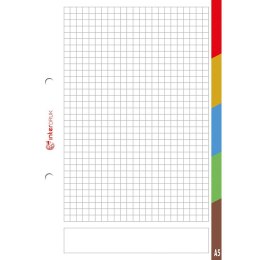Wkład do segregatora A5 Interdruk (WKDOSEA550REG)