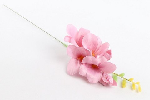 Gałązka Frezja pojedyncza Arpex (VC3230)