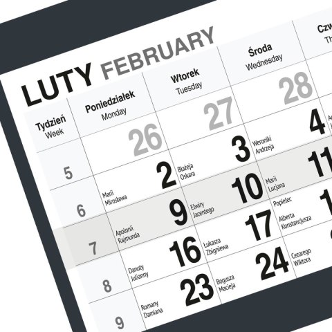 Kalendarz ścienny KOT A5 210mm x 450mm Press