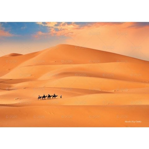 Kalendarz ścienny Piękne krajobrazy rodzinny 2026 280mm x 200mm Lucrum (WL04)