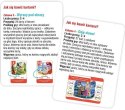 Książeczka edukacyjna Disney Uczy. Tworzę zdania i czytam. Karty Ameet (UEK 9301)