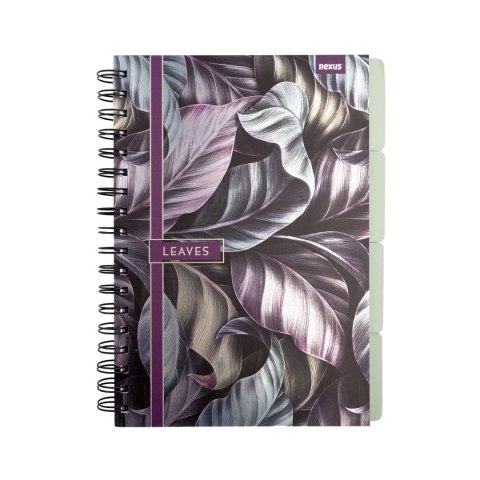 Notes (notatnik) metaliza B5 96k. krata Beniamin Notes (notatnik) metaliza B5 96k. krata Beniamin