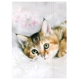 Teczka kartonowa na gumkę Kotki A4 mix Starpak (559717)