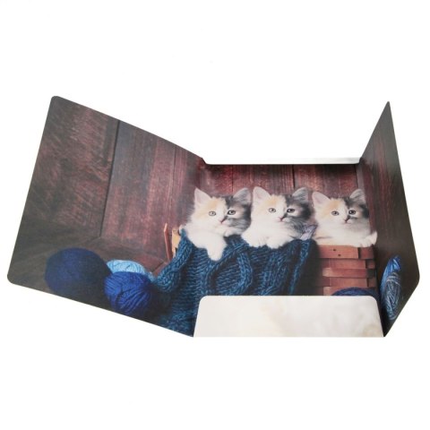 Teczka kartonowa na gumkę Kotki A4 mix Starpak (559717)