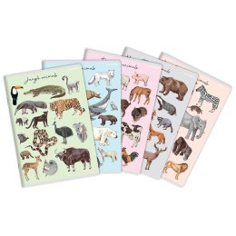 Zeszyt PP A5 32k. krata Top 2000 (400174505)