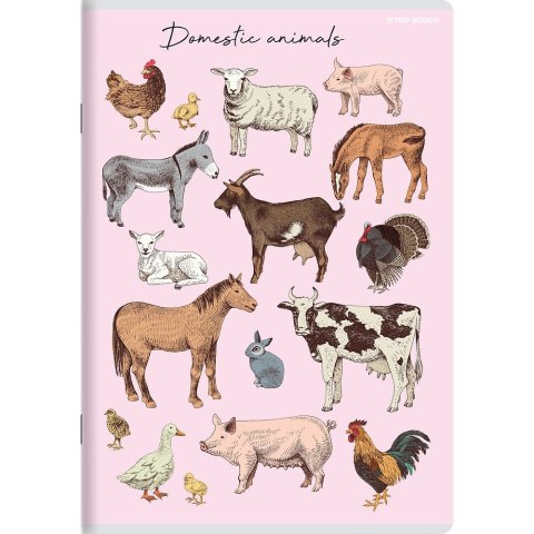 Zeszyt PP A5 32k. krata Top 2000 (400174505)