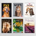 Kalendarz ścienny 16 stron wieloplanszowy A3 Press (kociaki i szczeniaki)