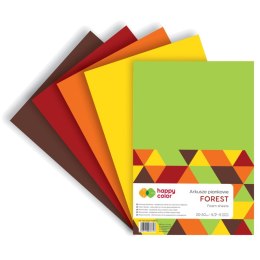 Arkusz piankowy kolor: mix 5 ark. [mm:] 20x30 Happy Color (HA 7134 2030-FOREST)
