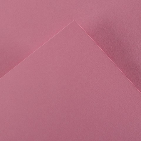 Brystol Iris Canson (400108019)